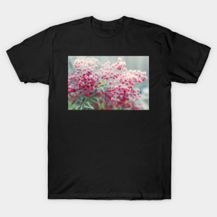 Frosted Winter Berries T-Shirt